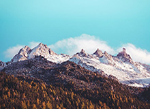 登录入口-广东队记社媒分享昨日广东男篮比赛动态：今日份的快乐